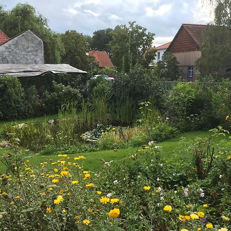 Schoene Gemuetliche Ferienwohnung Mit Kamin II Im Harz Darlingerode Exterior foto